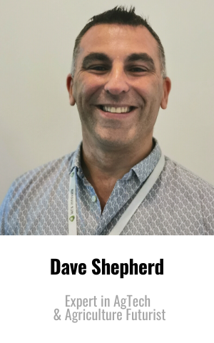 Dave Shepherd